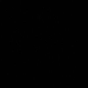 Meet your Posher, Skarlett